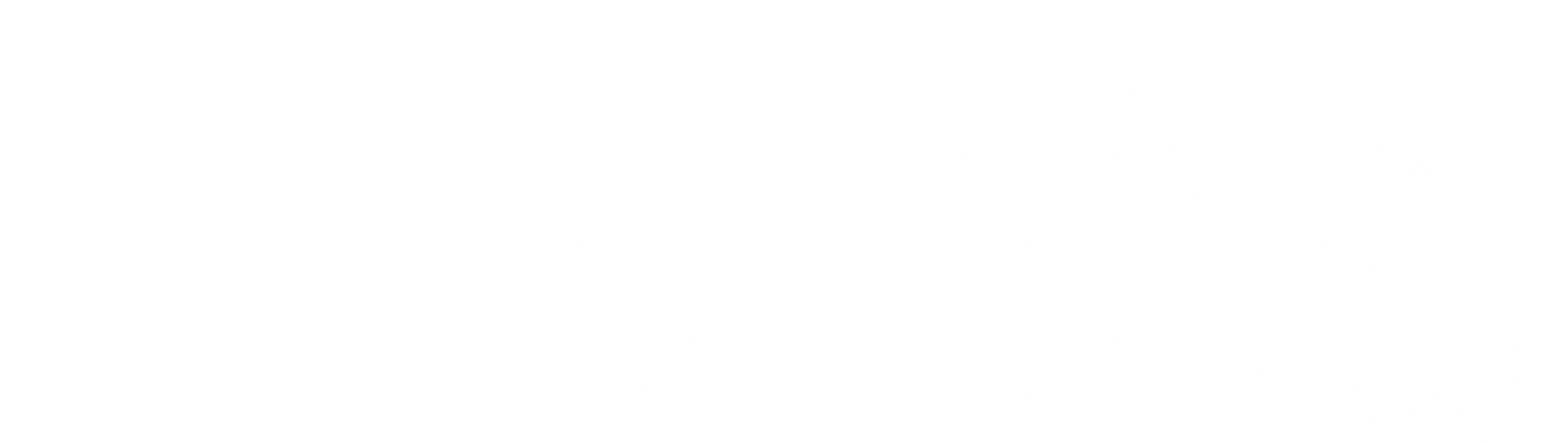 Bravizo